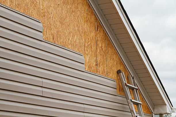 Professional Siding Inspection technician working in Denver, CO